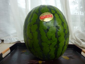 合志市のスイカ 合志市のスイカ