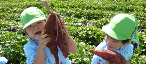 やった!掘れたよ! やった!掘れたよ!