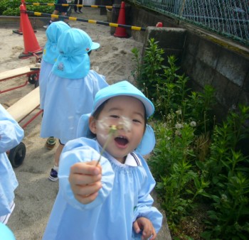 たんぽぽ みつけたよ! たんぽぽ みつけたよ!