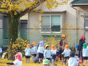 落ち葉パーlティー 落ち葉パーlティー