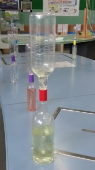 どんなことが始めるのかな? どんなことが始めるのかな?