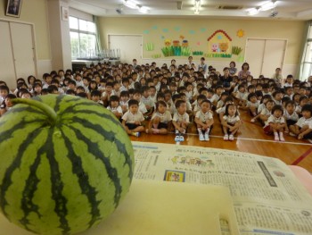 すいかのお話!? すいかのお話!?