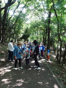 緑の中で 緑の中で