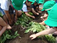 たくさん出てきたよ! たくさん出てきたよ!