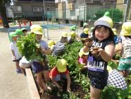 ほら見て!! ほら見て!!