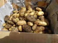 早く食べたいな 早く食べたいな