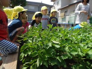 どこを掘ろうかな? どこを掘ろうかな?