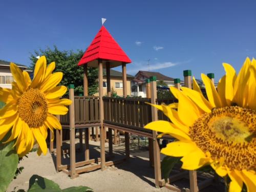 明るく元気におひさまを仰いで! 明るく元気におひさまを仰いで!