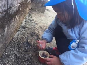 霜柱に夢中 霜柱に夢中